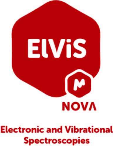 Mnova ElViS-Perpetual-Government-Single Nominated License